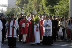 domingo_ramos1