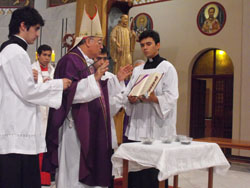 ceniza4