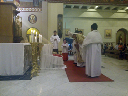 misadegallo3