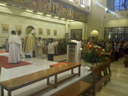misadegallo4