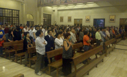 misadegallo5