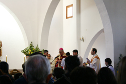 sanciri 7