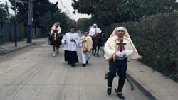 cuasimodo