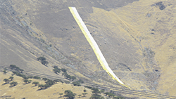 banderaweb1